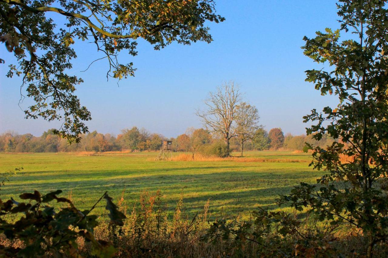 An Der Hainmuehle Lübben エクステリア 写真