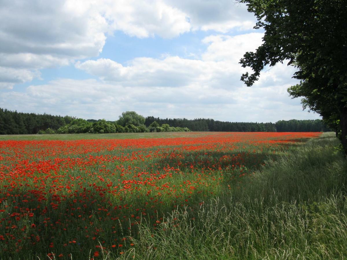 An Der Hainmuehle Lübben エクステリア 写真